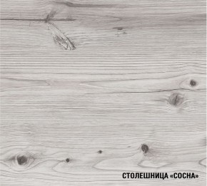 АСАЯ Кухонный гарнитур Экстра (3000 мм) в Ревде - revda.mebel-74.com | фото