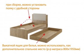 Дуглас (подростковая) М14 Кровать в Ревде - revda.mebel-74.com | фото