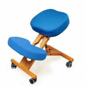 Коленный стул Smartstool KW02 + Чехлы в Ревде - revda.mebel-74.com | фото