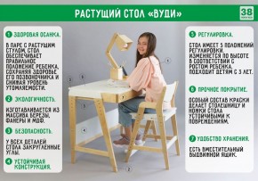 Комплект растущий стол и стул 38 попугаев «Вуди» (Серый, Без покрытия) в Ревде - revda.mebel-74.com | фото