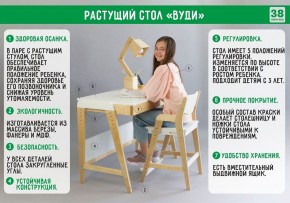 Комплект растущий стол и стул с чехлом 38 попугаев «Вуди» (Белый, Белый, Салют) в Ревде - revda.mebel-74.com | фото