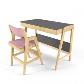 Комплект растущий стол и стул с чехлом 38 попугаев «Вуди» (Серый, Береза, Розовый) в Ревде - revda.mebel-74.com | фото