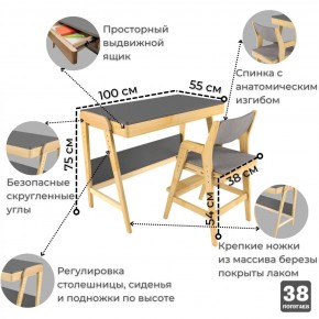 Комплект растущий стол и стул с чехлом 38 попугаев «Вуди» (Серый, Береза, Серый) в Ревде - revda.mebel-74.com | фото
