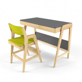 Комплект растущий стол и стул с чехлом 38 попугаев «Вуди» (Серый, Без покрытия, Грин) в Ревде - revda.mebel-74.com | фото