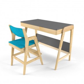 Комплект растущий стол и стул с чехлом 38 попугаев «Вуди» (Серый, Без покрытия, Лазурь) в Ревде - revda.mebel-74.com | фото