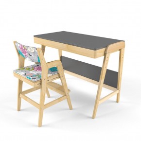 Комплект растущий стол и стул с чехлом 38 попугаев «Вуди» (Серый, Без покрытия, Мечта) в Ревде - revda.mebel-74.com | фото