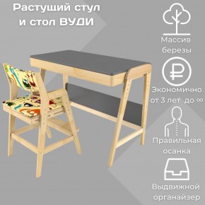 Комплект растущий стол и стул с чехлом 38 попугаев «Вуди» (Серый, Без покрытия, Монстры) в Ревде - revda.mebel-74.com | фото