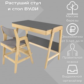 Комплект растущий стол и стул с чехлом 38 попугаев «Вуди» (Серый, Без покрытия, Серый) в Ревде - revda.mebel-74.com | фото