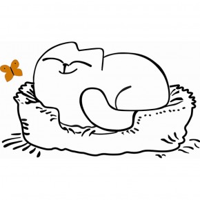 Кровать двухуровневая Кот № 900.1 ЛЕВАЯ (туя светлая/белый) в Ревде - revda.mebel-74.com | фото