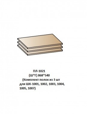 ПЛ-1021 (Комплект полок из 3 шт для ШК-1001, 1002, 1003, 1004, 1005, 1007) в Ревде - revda.mebel-74.com | фото