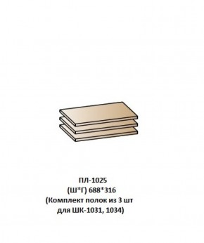 ПЛ-1025 (Комплект полок из 3 шт для ШК-1031, 1034) в Ревде - revda.mebel-74.com | фото