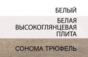 Шкаф 2D/TYP 20A, LINATE ,цвет белый/сонома трюфель в Ревде - revda.mebel-74.com | фото