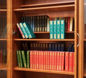 Шкаф для книг арт. 200 в Ревде - revda.mebel-74.com | фото