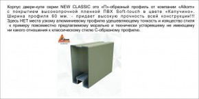 Шкаф-купе 1700 серии NEW CLASSIC K2+K2+B2+PL2(2 ящика+1 штанга+1 полка) профиль «Капучино» в Ревде - revda.mebel-74.com | фото