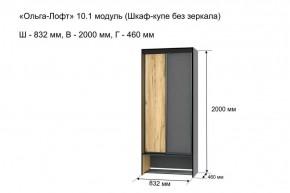 Шкаф купе без зеркала "Ольга-Лофт 10.1" в Ревде - revda.mebel-74.com | фото