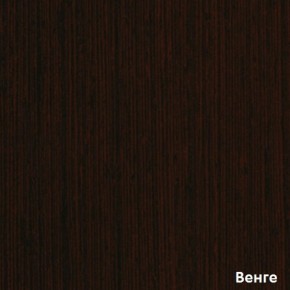 Шкаф-купе Рио 1-600 Амели в Ревде - revda.mebel-74.com | фото