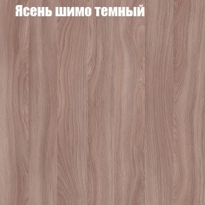 Шкаф-купе «ТАНДЕМ» 2-х дверный в алюминиевом профиле (Дверь ЛДСП+ЛДСП) 1400/h2200 в Ревде - revda.mebel-74.com | фото