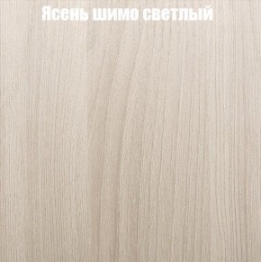 Шкаф-купе «ТАНДЕМ» 2-х дверный в алюминиевом профиле (Дверь ЛДСП+ЛДСП) 1800/h2200 в Ревде - revda.mebel-74.com | фото