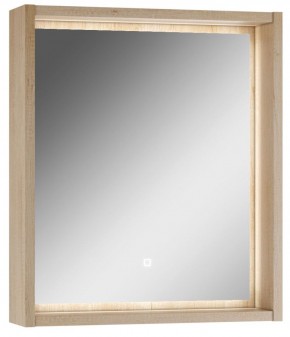 Шкаф-зеркало Nice 60 с подсветкой Домино (DN4706HZ) в Ревде - revda.mebel-74.com | фото