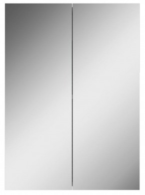 Шкаф-зеркало Норма 50 2 двери АЙСБЕРГ (DA1636HZ) в Ревде - revda.mebel-74.com | фото