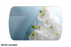 Стол Бостон 900*600 (опоры Брифинг) Стекло/фотопечать Белая Орхидея в Ревде - revda.mebel-74.com | фото
