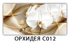 Стол раздвижной Трилогия с фотопечатью Орхидея R041 в Ревде - revda.mebel-74.com | фото
