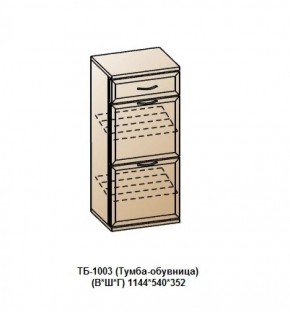 ТБ-1003 (Тумба-обувница) в Ревде - revda.mebel-74.com | фото
