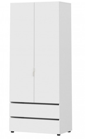 Токио Шкаф 2-х створчатый с 2-мя ящиками (*без полок) в Ревде - revda.mebel-74.com | фото