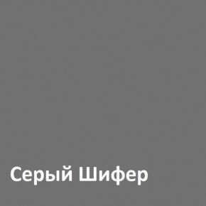 Юнона Шкаф торцевой 13.221 в Ревде - revda.mebel-74.com | фото